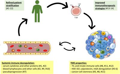 Editorial: Systemic immune dysregulation in malignant disease: Insights, monitoring and therapeutic exploitation